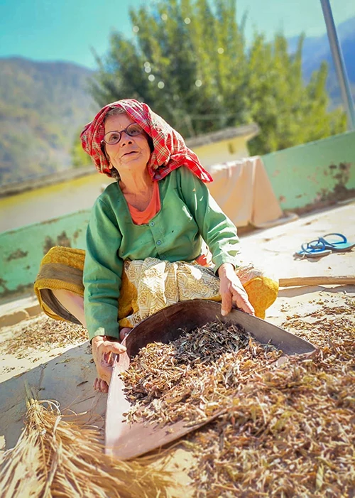 A woman wearing glasses is drying beans on a roofotp. 